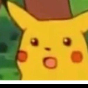 Meet your Posher, Shawnie